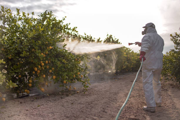 Pest Control for Restaurants in Dahlgren, VA